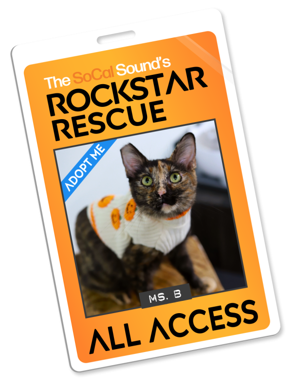 KCSN RockstarRescue PotW 100726 Pass