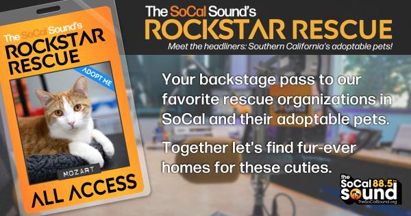 KCSN RockstarRescue PotW 011426 CreateOutlines FACEBOOK 1200x631