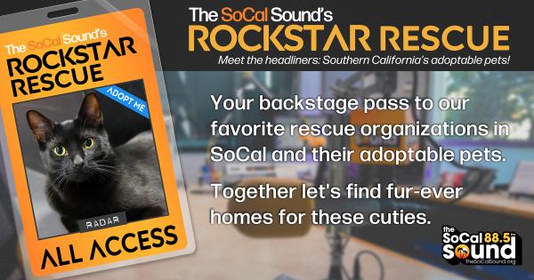 KCSN RockstarRescue PotW 042226 CreateOutlines FACEBOOK 1200x631