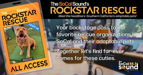 KCSN RockstarRescue PotW 081226 CreateOutlines FACEBOOK 1200x630
