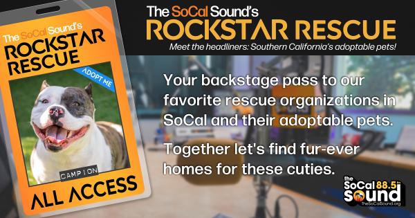 KCSN RockstarRescue PotW 11125 CreateOutlines FACEBOOK 1200x630