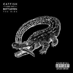 Catfish and the Bottlemen, 